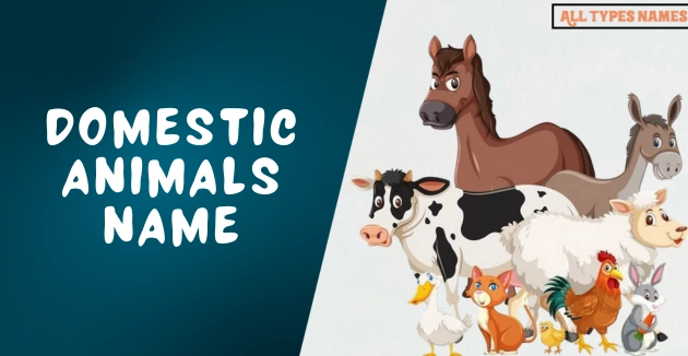 Domestic Animals Name