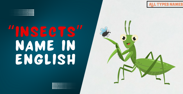 Insects name in english